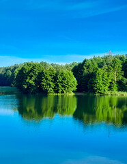 Fototapeta na wymiar Coast of a Wdzydze Lake. Pure nature.