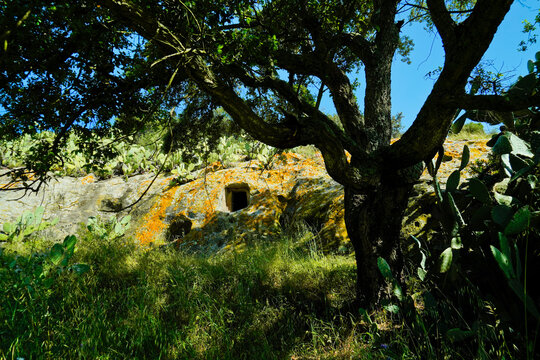 Domus de Janas della necropoli di Sas Concas , Provincia di Sassari, Sardegna, Italy