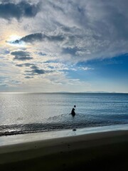 Dog in the ocean, Italy 