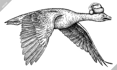 Vintage engraving isolated duck set dressed christmas illustration goose ink santa costume sketch. Farm bird background silhouette geese new year hat art. Black and white hand drawn vector image © Turaev