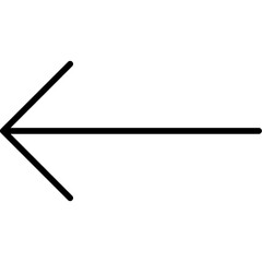 Left Arrow Icon
