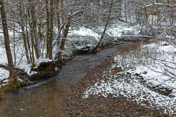 Natural forest landscape covered with snow during cold winter day.