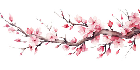 Ink painting cherry blossom white background