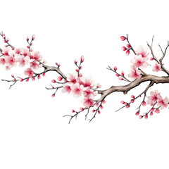 Fototapeta premium Ink painting cherry blossom in white background