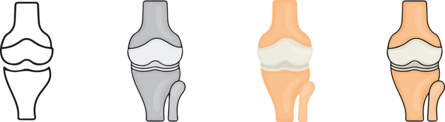 human anatomy. Knee Joint icon with 4 different styles.
