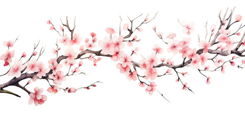 Ink painting cherry blossom in white background - obrazy, fototapety, plakaty