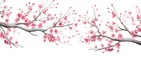 Fototapeta premium Ink painting cherry blossom white background