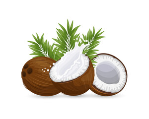 Coconut and sliced coconut with a splash of milk on a white background with palm leaves. Illustration, vector