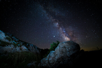 Starry Nights: Celestial Wonders Captured in Astrophotography