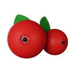 Cranberry 3D Icon Illustration