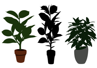 植物のイラストセット