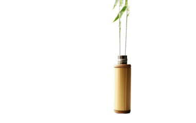 Captivating Design Bamboo Aromatherapy Necklace with Natural Harmony on a White or Clear Surface PNG Transparent Background.