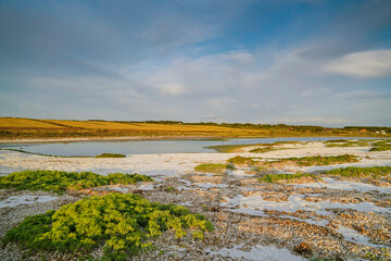  Stagno di Mari Ermi.Sinis, Provincia di Oristano, Sardegna, Italy