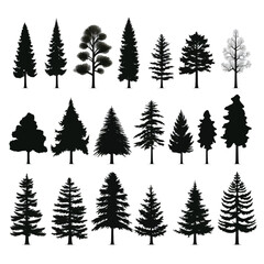 Pine tree silhouettes. Evergreen forest 