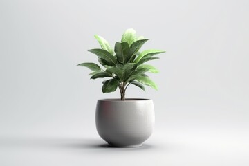 Potted plant on isolated white background. AI Generated
