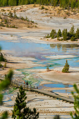 View of Norris Geyser Basin, Yellowstone National Park, Wyoming, USA