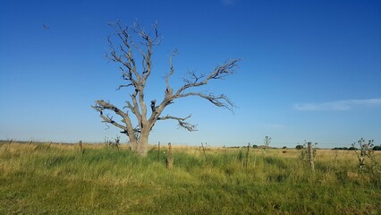 La Pampa, Argentina