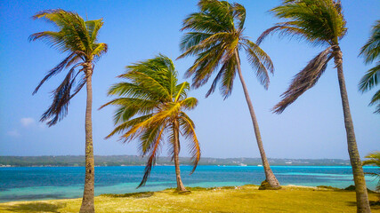 Isla Saona, Republica Dominicana