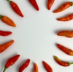 Red chili hot peppers, genus Capsicum frame border. Raw spice vegetable photography for added heat...
