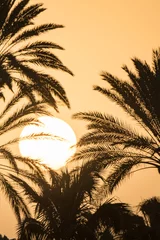 Cercles muraux les îles Canaries Background with a beautiful bright sunset, big sun and silhouettes of palm trees on the Canary island of Fuerteventura, Spain.