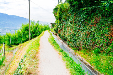 Obraz premium Hiking along the Marlinger Waalweg near Meran in South Tyrol Italy. With some Views over wineyards, the City of Meran, Marling and other Villages