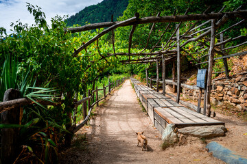 Hiking along the Marlinger Waalweg near Meran in South Tyrol Italy. With some Views over wineyards, the City of Meran, Marling and other Villages