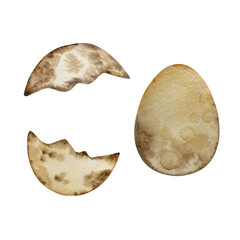 Watercolor egg shell dinosaurs, set