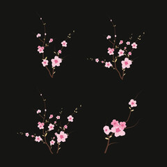 Sakura. Pink sakura flower background. Cherry blossom branch with sakura flower