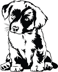 Cartoon Black and White Isolated Illustration Vector Of A Pet Puppy Dog Sitting Down