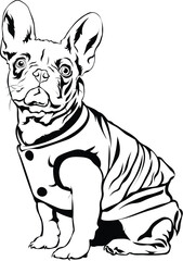 Cartoon Black and White Isolated Illustration Vector Of A Pet Pug Puppy Dog In A Jumper Sitting Down