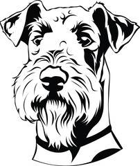 Cartoon Black and White Isolated Illustration Vector Of A Pet Schnauzer Terrier Puppy Dogs Face and Head