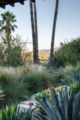 A garden view to Hollywood 
