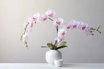 Gardinen very beautiful pink orchid flowers in a vase on the table, white background © JetHuynh