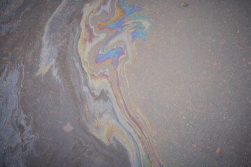 Close-up of an iridescent oil or gasoline spill on a wet asphalt, viewed from above.