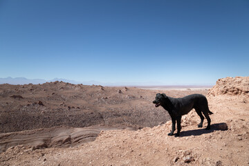 Atacama Desert Landscape, Chile