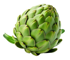 Fototapeta premium Artichoke isolated on white background 