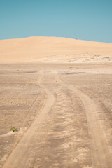 Sand dunes in Barra de Valizas, Rocha, Uruguay.