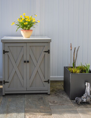 Arrangement of daffodils (narcissus)  on a little cabinet beside a cache pot with early grasses in front of a gray divider