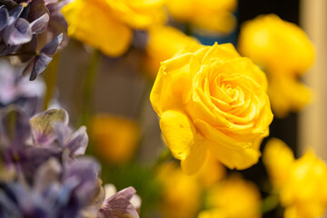 Close-up at yellow rose flower lube which is arranged as flower buch for wedding interior...