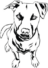 Cartoon Black and White Isolated Illustration Vector Of A Pet Puppy Dog Pitbull Sitting Down