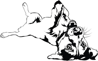 Cartoon Black and White Isolated Illustration Vector Of A Pet Puppy Dog Laying On It's Back