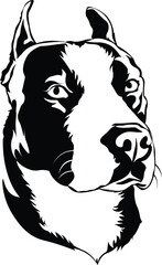 Cartoon Black and White Isolated Illustration Vector Of A Pet Pitbull Staffordshire Terrier Puppy Dogs Face and Head