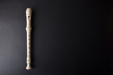 Background with overview of white plastic recorder on black background - obrazy, fototapety, plakaty