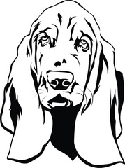 Cartoon Black and White Isolated Illustration Vector Of A Pet Bloodhound Puppy Dogs Face and Head