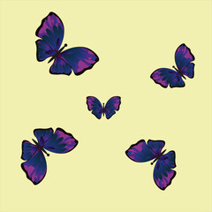  butterflies vector pattern, set of  butterflies