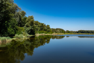 Fototapeta na wymiar Landscape With Pond In The River Danube Wetlands National Park Near Vienna In Austria