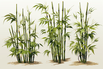 High resolution image of wet bamboo-leaves isolated on a white background. Please take a look at my...