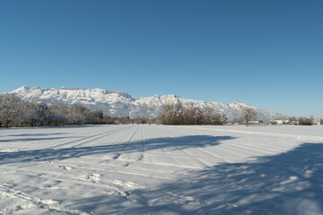 Fototapeta na wymiar Incredible winter scenery in Vaduz in Liechtenstein