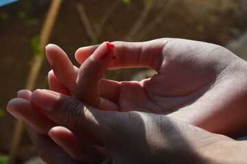 Photo of a finger cut, cut by a knife, bleeding fresh red blood