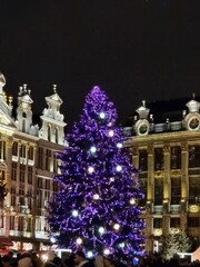 Christmas tree at night from the Bruxelles Grand Place